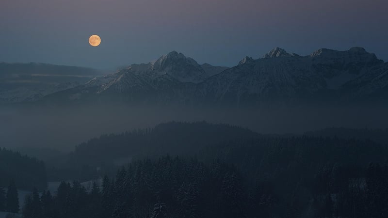 Moonlit Garden