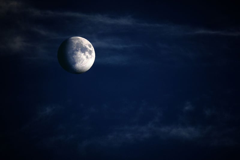 Moonlit Garden